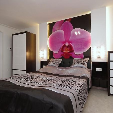 Regina Delux Apartman ギュラ エクステリア 写真