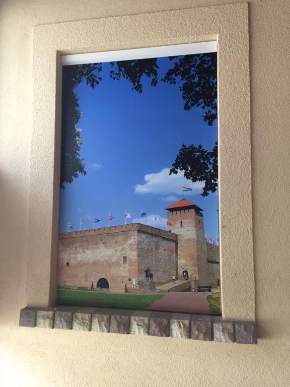 Regina Delux Apartman ギュラ エクステリア 写真